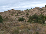 Grupo Mineralógico de Alicante. Inmediaciones camino del Acebuche. La Alcoraia. Alicantee