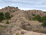 Grupo Mineralógico de Alicante. Inmediaciones camino del Acebuche. La Alcoraia. Alicantee