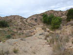 Grupo Mineralógico de Alicante. Inmediaciones camino del Acebuche. La Alcoraia. Alicantee