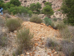 Grupo Mineralógico de Alicante. Inmediaciones camino del Acebuche. La Alcoraia. Alicantee