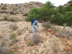 Grupo Mineralógico de Alicante. Inmediaciones camino del Acebuche. La Alcoraia. Alicantee