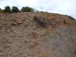 Grupo Mineralógico de Alicante. Inmediaciones camino del Acebuche. La Alcoraia. Alicantee