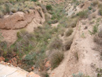 Grupo Mineralógico de Alicante. Inmediaciones camino del Acebuche. La Alcoraia. Alicantee