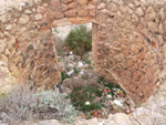 Grupo Mineralógico de Alicante. Inmediaciones camino del Acebuche. La Alcoraia. Alicantee