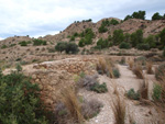 Grupo Mineralógico de Alicante. Inmediaciones camino del Acebuche. La Alcoraia. Alicantee