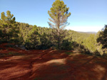 Grupo Mineralógico de Alicante. Barranco del Tormagal, La Pesquera, Cuenca