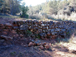 Grupo Mineralógico de Alicante. Barranco del Tormagal, La Pesquera, Cuenca