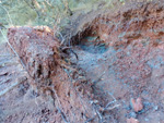 Grupo Mineralógico de Alicante. Barranco del Tormagal, La Pesquera, Cuenca