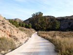 Grupo Mineralógico de Alicante. Paraje Barranco de Ojos. Aspe.  Alicante