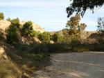 Grupo Mineralógico de Alicante. Paraje Barranco de Ojos. Aspe.  Alicante