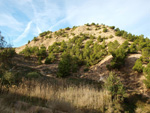 Grupo Mineralógico de Alicante. Paraje Barranco de Ojos. Aspe.  Alicante