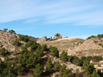 Grupo Mineralógico de Alicante. Paraje Barranco de Ojos. Aspe.  Alicante