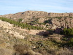 Grupo Mineralógico de Alicante. Paraje Barranco de Ojos. Aspe.  Alicante