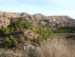 Grupo Mineralógico de Alicante.  Paraje Barranco de Ojos. Aspe.  Alicante 