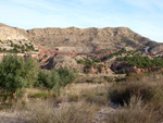 Grupo Mineralógico de Alicante.  Paraje Barranco de Ojos. Aspe.  Alicante 