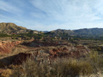 Grupo Mineralógico de Alicante. Paraje Barranco de Ojos. Aspe.  Alicante