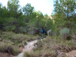 Grupo Mineralógico de Alicante. Paraje Barranco de Ojos. Aspe.  Alicante