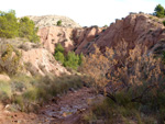 Grupo Mineralógico de Alicante. Paraje Barranco de Ojos. Aspe.  Alicante