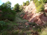 Grupo Mineralógico de Alicante. Paraje Barranco de Ojos. Aspe.  Alicante