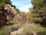 Grupo Mineralógico de Alicante. Paraje Barranco de Ojos. Aspe.  Alicante