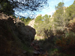 Grupo Mineralógico de Alicante. Paraje Barranco de Ojos. Aspe.  Alicante