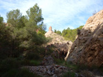 Grupo Mineralógico de Alicante. Paraje Barranco de Ojos. Aspe.  Alicante