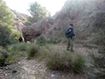 Grupo Mineralógico de Alicante. Paraje Barranco de Ojos. Aspe.  Alicante