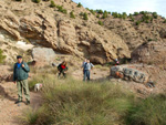 Grupo Mineralógico de Alicante. Paraje Barranco de Ojos. Aspe.  Alicante