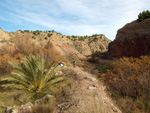 Grupo Mineralógico de Alicante. Paraje Barranco de Ojos. Aspe.  Alicante