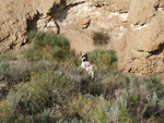 Grupo Mineralógico de Alicante. Paraje Barranco de Ojos. Aspe.  Alicante