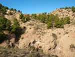 Grupo Mineralógico de Alicante. Paraje Barranco de Ojos. Aspe.  Alicante