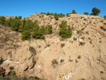 Grupo Mineralógico de Alicante. Paraje Barranco de Ojos. Aspe.  Alicante