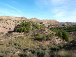 Grupo Mineralógico de Alicante. Paraje Barranco de Ojos. Aspe.  Alicante