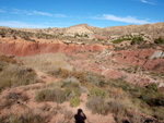 Grupo Mineralógico de Alicante. Paraje Barranco de Ojos. Aspe.  Alicante