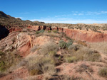 Grupo Mineralógico de Alicante. Paraje Barranco de Ojos. Aspe.  Alicante