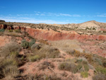 Grupo Mineralógico de Alicante. Paraje Barranco de Ojos. Aspe.  Alicante