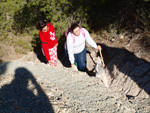 Grupo Mineralógico de Alicante. Paraje Barranco de Ojos. Aspe.  Alicante