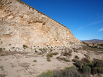 Grupo Mineralógico de Alicante. Cabezo Polovar. Villena.  Alicante