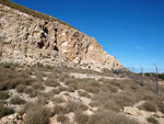 Grupo Mineralógico de Alicante. Cabezo Polovar. Villena.  Alicante