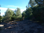 Grupo Mineralógico de Alicante. Cabezo Polovar. Villena.  Alicante