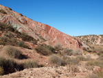 Grupo Mineralógico de Alicante. Afloramiento de Aragonito. Loma Bada. Petrer.  Alicante