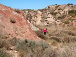 Grupo Mineralógico de Alicante. Afloramiento de Aragonito. Loma Bada. Petrer.  Alicante