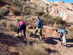 Grupo Mineralógico de Alicante. Afloramiento de Aragonito. Loma Bada. Petrer.  Alicante