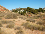 Grupo Mineralógico de Alicante. Afloramiento de Aragonito. Loma Bada. Petrer.  Alicante