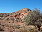 Grupo Mineralógico de Alicante. Afloramiento de Aragonito. Loma Bada. Petrer.  Alicante