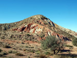 Grupo Mineralógico de Alicante. Afloramiento de Aragonito. Loma Bada. Petrer.  Alicante