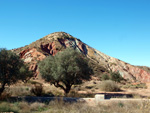 Grupo Mineralógico de Alicante. Afloramiento de Aragonito. Loma Bada. Petrer.  Alicante