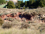 Grupo Mineralógico de Alicante. Afloramiento de Aragonito. Loma Bada. Petrer.  Alicante