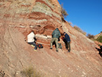 Grupo Mineralógico de Alicante. Paraje Barranco de Ojos. Aspe.  Alicante