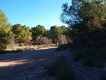 Grupo Mineralógico de Alicante. Paraje Barranco de Ojos. Aspe.  Alicante